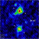 The 7 mm Continuum Image of the Binary Protostellar System L1551 IRS 5