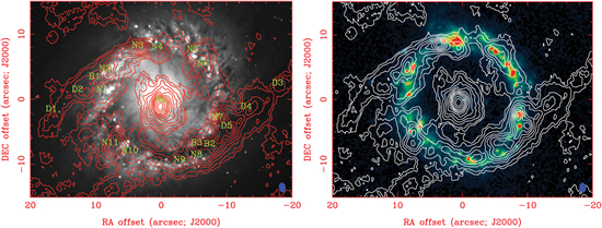 High resolution map of Seyfert 1/ starburst ring galaxy NGC 1097