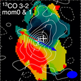 A Keplerian Circumbinary Disk around the Protostellar System L1551 NE