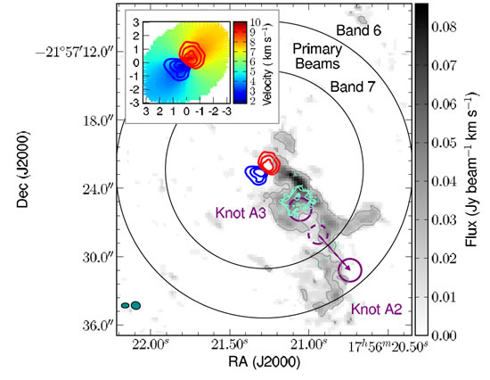 ALMA detection of the rotating molecular disk wind from the young star HD 163296