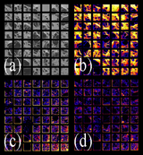 Cross-Section of Carbonaceous Chondrite Observed in Various Ion Species